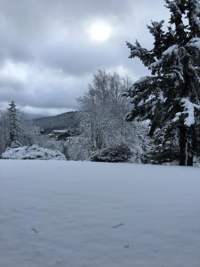 Les Dryades Gerardmer