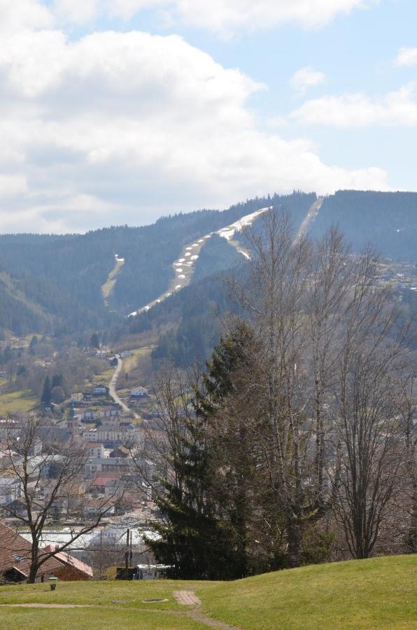 Appartement Les Dryades Gérardmer